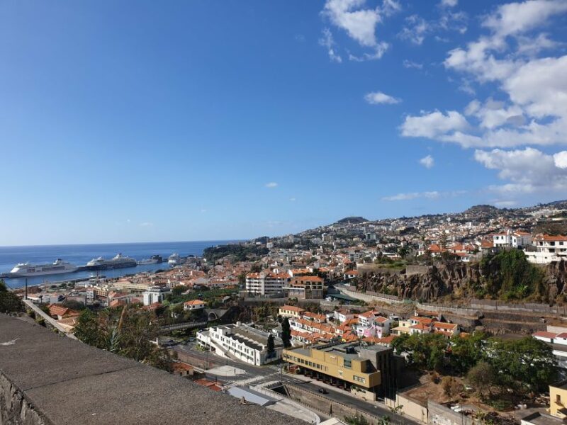 Funchal: Madeira Botanical Garden Tuk-Tuk Tour + Old Town - An Introduction to the Tour Experience