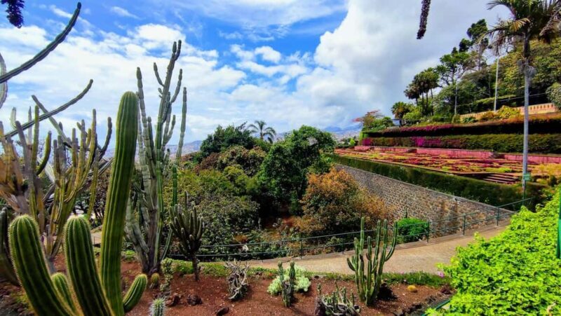 Funchal: Madeira Botanical Garden Tuk-Tuk Tour + Old Town - What’s Valued Most by Participants?