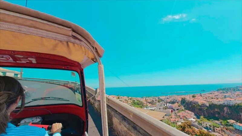 Funchal: Madeira Botanical Garden Tuk-Tuk Tour + Old Town - Who Should Consider This Tour?