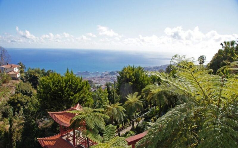 Funchal: Monte Palace Tropical Gardens Tuk Tuk Tour - What Is the Monte Palace Tropical Gardens Tuk Tuk Tour?