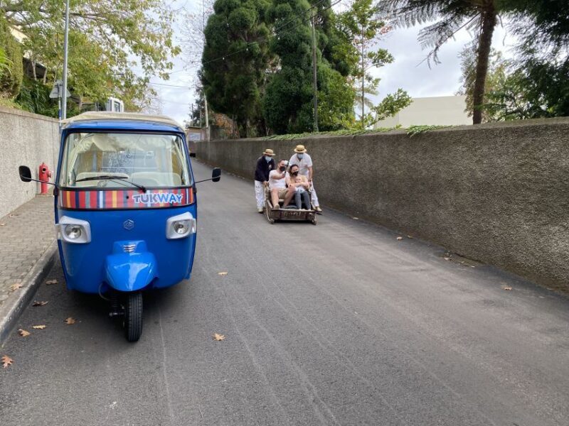 Funchal: Monte Tropical Garden & Toboggan Ride by Tuk Tuk - What to Expect from the Tour