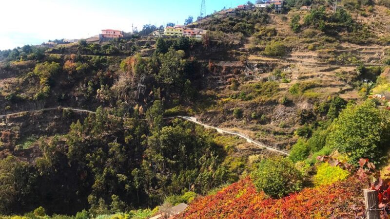 Funchal: Northern Levada Walking Tour - What to Expect from the Tour