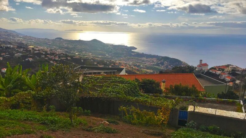 Funchal: Northern Levada Walking Tour - Who Will Love This Tour