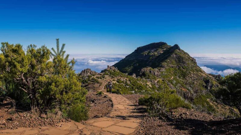 Funchal: Pico Ruivo & Achada do Teixeira Hiking Transfer - Key Points