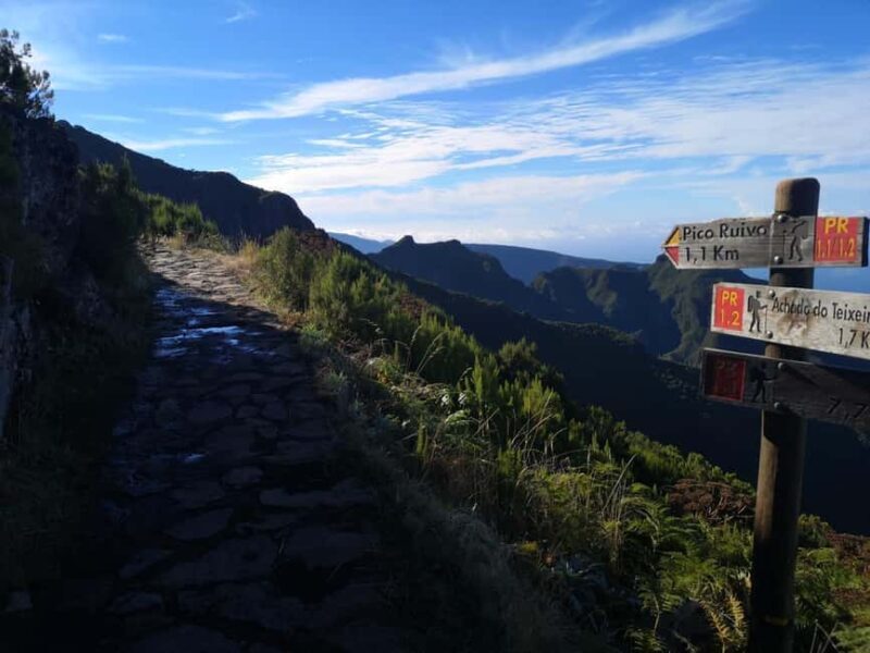Funchal: Pico Ruivo & Achada do Teixeira Hiking Transfer - Is It Worth the Price?