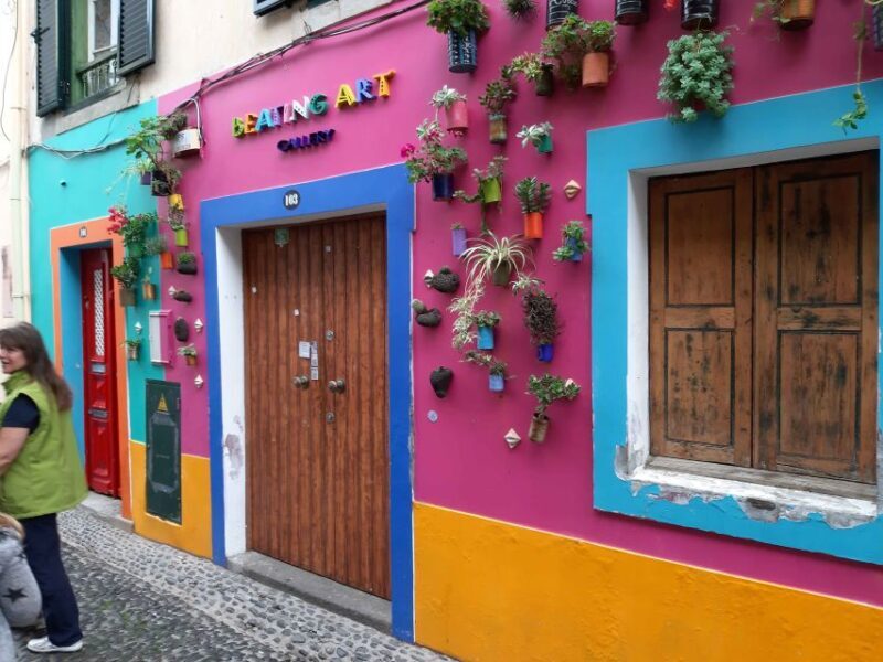 Funchal: Private Guided Walking Tour - What to Expect from the Experience