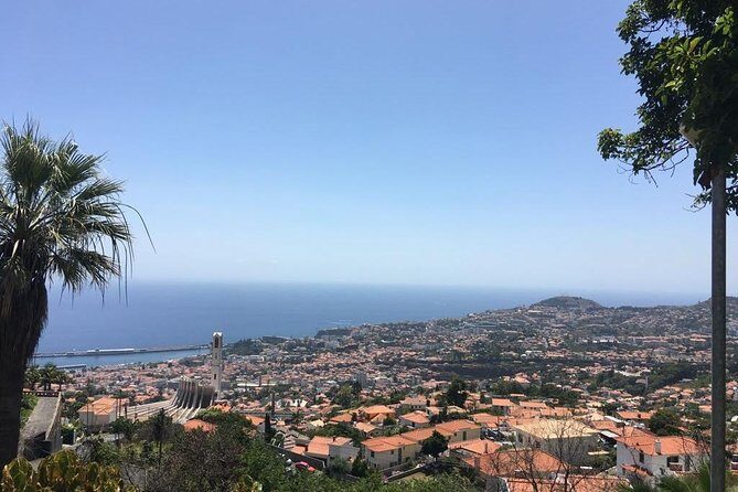 Funchal Private Vehicle Service with Driver for a Half Day or Full Day - Who is This Tour Best Suited For?