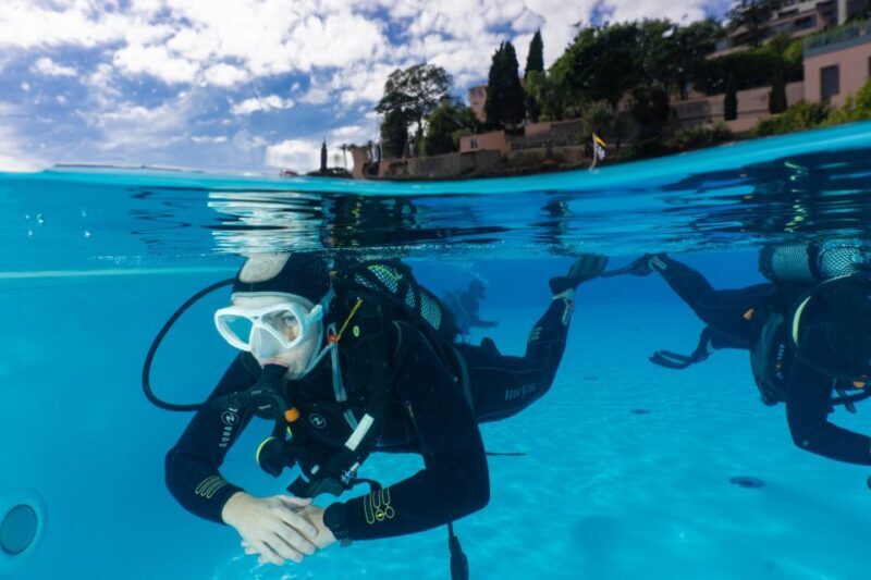 Funchal: Scuba Diving Experience for Beginners - Real Experiences from Participants