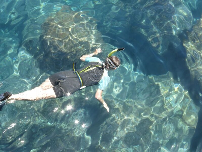 Funchal: Snorkeling Adventure in Eco-Park / Shore or by Boat - FAQs