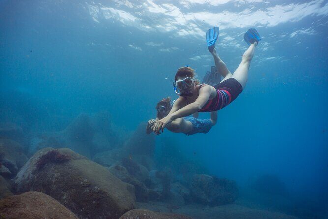Funchal: Snorkeling Adventure in Eco-Park / Shore or by Boat - Exploring the Funchal Snorkeling Adventure: An Honest Look