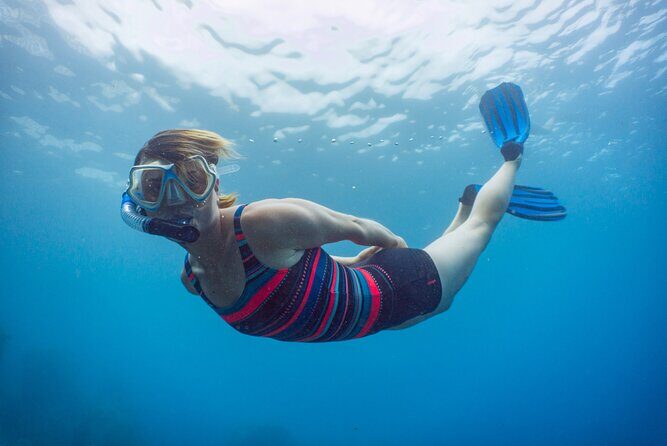 Funchal: Snorkeling Adventure in Eco-Park / Shore or by Boat - Practical Details and Tips