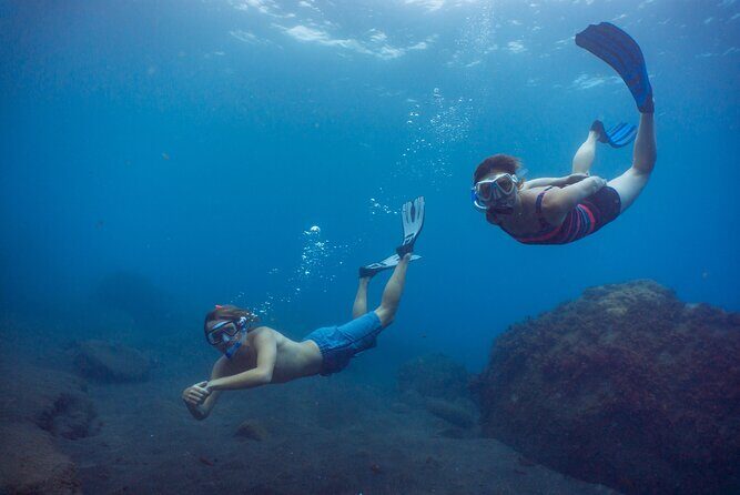 Funchal: Snorkeling Adventure in Eco-Park / Shore or by Boat - Feedback from Past Participants
