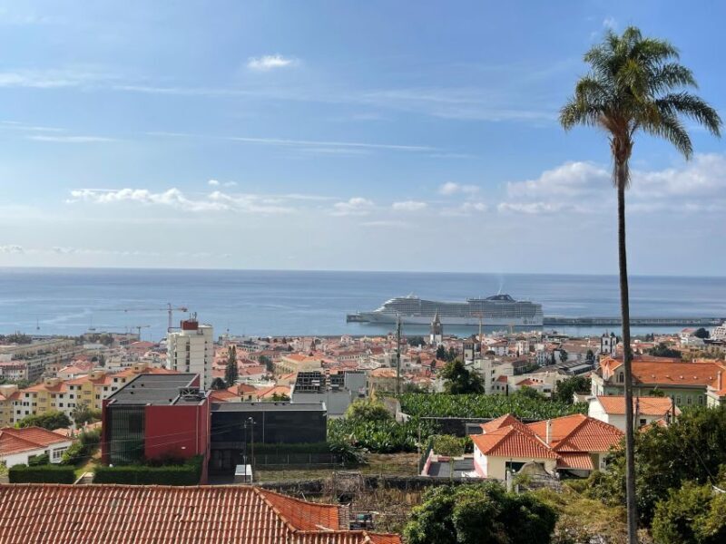 Funchal : Special views/seaside view points - A Closer Look at the Funchal Scenic Tuk-Tuk Tour