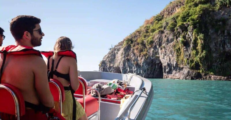 Funchal: Speedboat SEE THE ISLAND AND LIFE AT SEA - Key Points