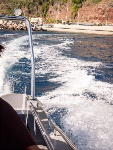 Funchal: Speedboat SEE THE ISLAND AND LIFE AT SEA - Practical Details and Considerations
