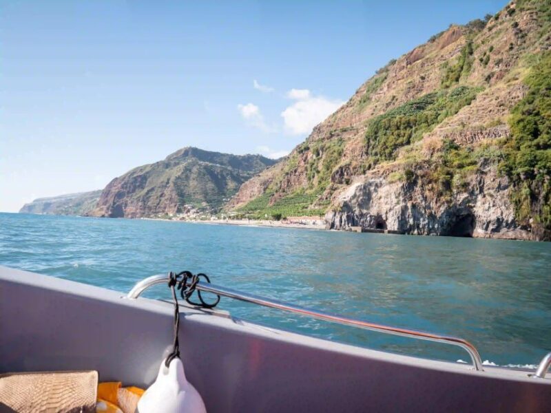 Funchal: Speedboat SEE THE ISLAND AND LIFE AT SEA - FAQ