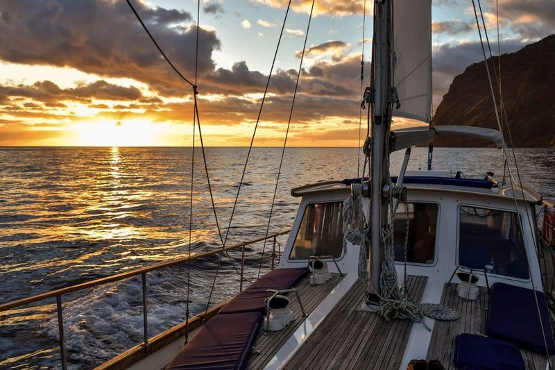 Funchal: Sunset Sailing Tour - Wildlife spotting: dolphins and whales, but never guaranteed