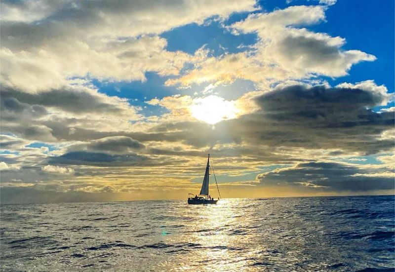 Funchal: Sunset Sailing Tour - Seasickness and safety basics: prepare for the ocean
