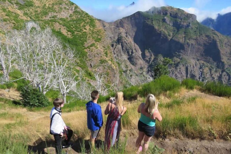 Funchal: Surprise Madeira Highlights for Cruise Guests - What Makes This Tour Stand Out?