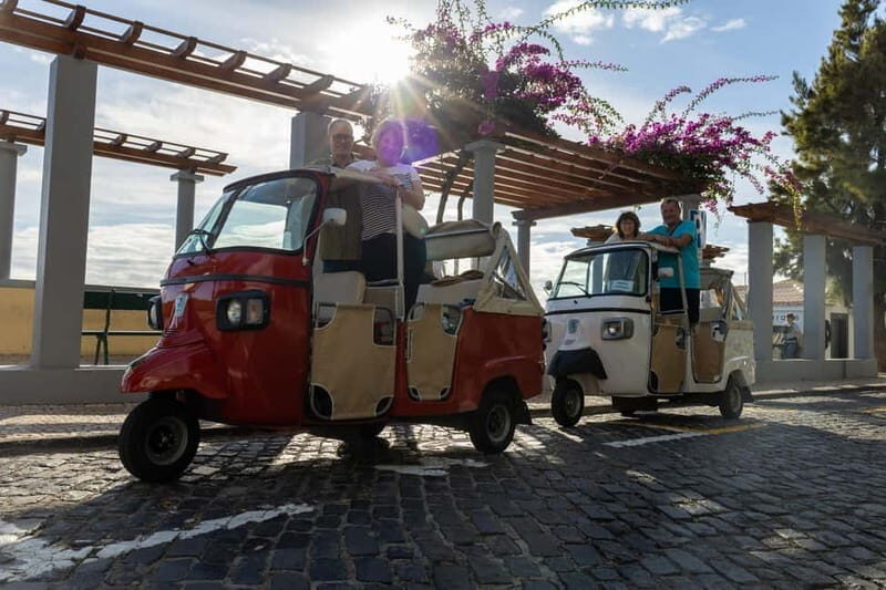Funchal: Tuk Tuk Tour to the Most Breathtaking Viewpoints - The Guide and Group Experience