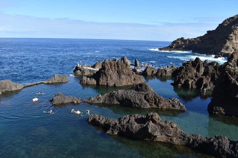 Funchal: Waterfalls, Volcanic Pools, and Fanal Forest Tour - An In-Depth Look at the Tour Experience