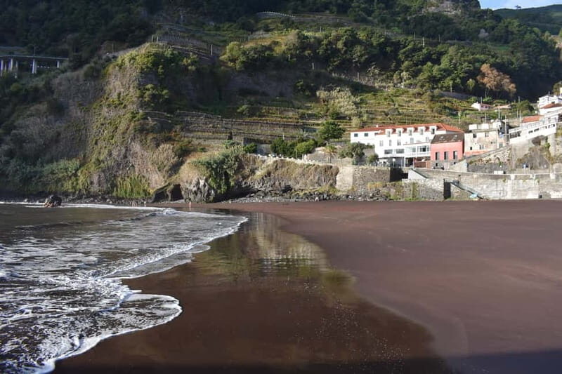 Funchal: Waterfalls, Volcanic Pools, and Fanal Forest Tour - Real Traveler Feedback