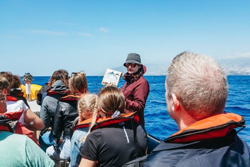 Funchal: Whale and Dolphin Watching Speed Boat Tour - What Makes This Tour Stand Out