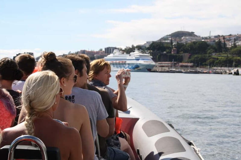 Funchal: Whale Watching and Swimming with Dolphins Cruise - What to Expect on the Tour