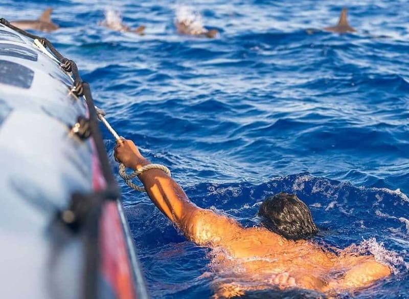 Funchal: Whale Watching and Swimming with Dolphins Cruise - What We Love About This Experience