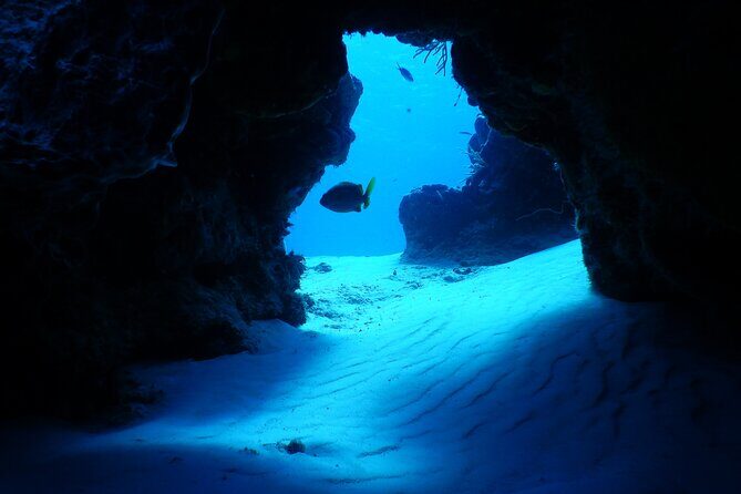 FunDiving in Cozumel - By Ferry - 2 Tanks in the wonderful Caribbean sea - Final Thoughts