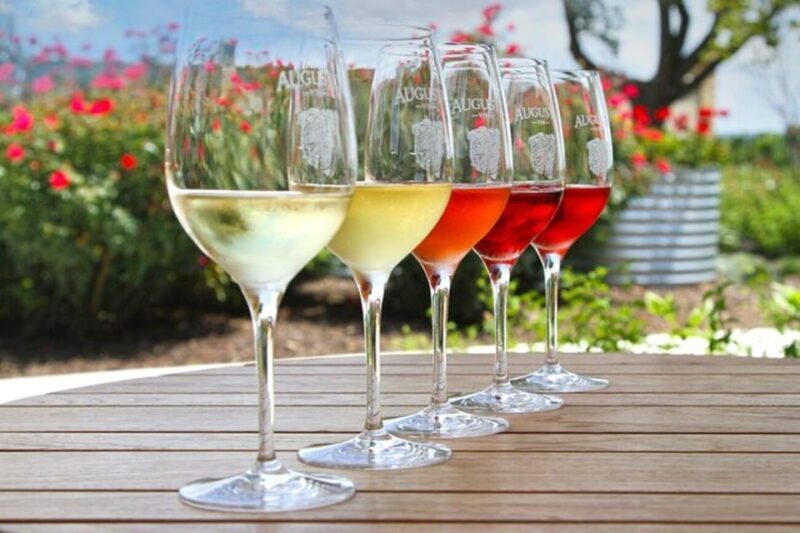 Funk Zone Wine & Food Tour - Final Thoughts