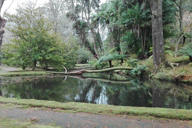 Furnas Lake Hotsprings and Gardens Van Tour - What the Tour Offers