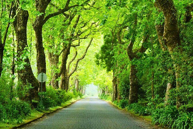 Furnas: Mystic Tour (w/Dinner & Thermal Springs) - Key Points