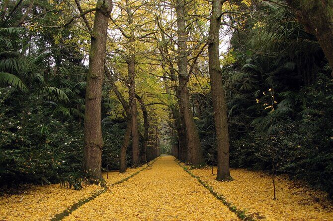 Furnas & Terra Nostra Botanic Park Tour w/Lunch + Hotsprings Bath - Exploring the Itinerary in Detail