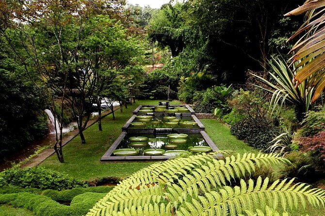 Furnas & Terra Nostra Botanic Park Tour w/Lunch + Hotsprings Bath - Final Thoughts