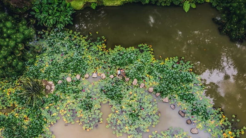 Furnas & Terra Nostra Gardens Biologist-guided Tour +lunch - The Value of This Tour
