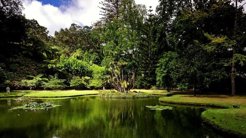 Furnas & Terra Nostra Gardens Biologist-guided Tour +lunch - FAQ