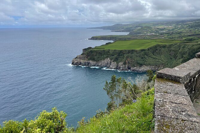Furnas Vale, Gorreana Tea Factory Private Van Tour - Who Should Consider This Tour?