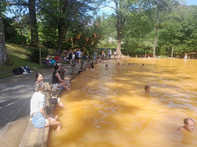 Furnas Volcano Wonders, Tea Plantation & Waterfall Tour - Scenic Drive and Final Stops