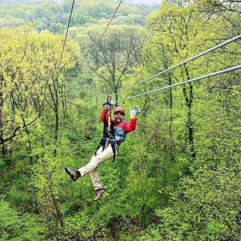 Galena: Zipline Adventure- Long Hollow Canopy Tours - What to Expect at Long Hollow Canopy Tours