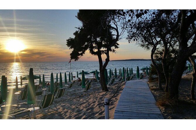 Gallipoli Full Day Private Tour: Coast, Beaches and Wineries - A Closer Look at the Itinerary