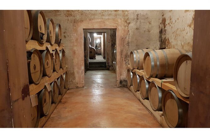 Gallipoli Full Day Private Tour: Coast, Beaches and Wineries - Who Is This Tour Best Suited For?