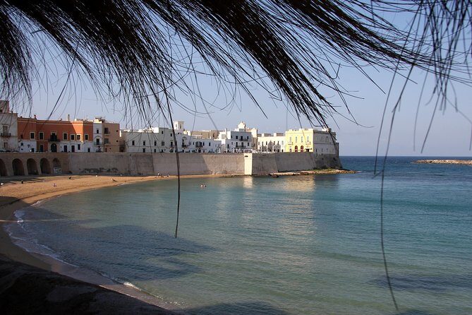 Gallipoli walking tour - What Past Travelers Say