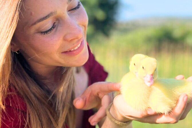 Gallura Picnic in the Farm with Animals - Exploring the Gallura Picnic in the Farm with Animals