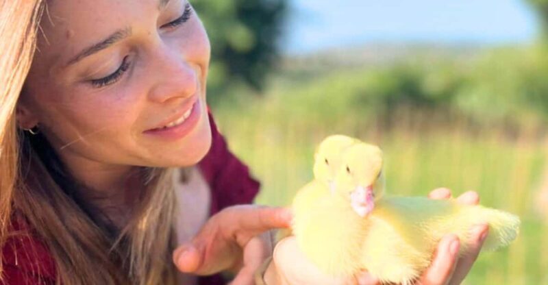 Gallura: Picnic on a Farm with Animals - Key Points