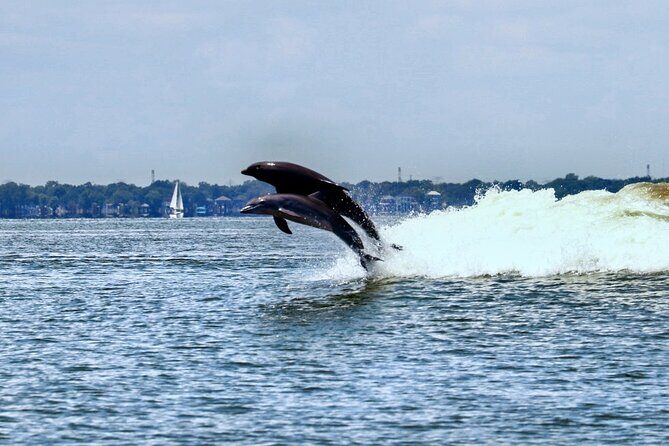 Galveston Day Tour from Houston - Is It Worth the Price?