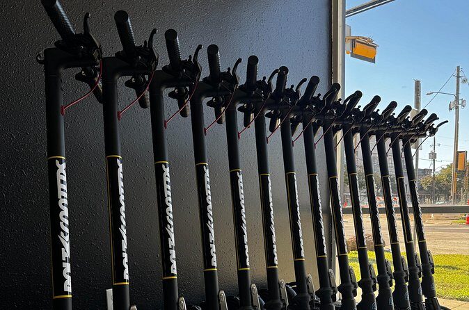 Galveston Sightseeing Self Guided Tour S2 Pro E Scooter - What Travelers Say (Based on Reviews)