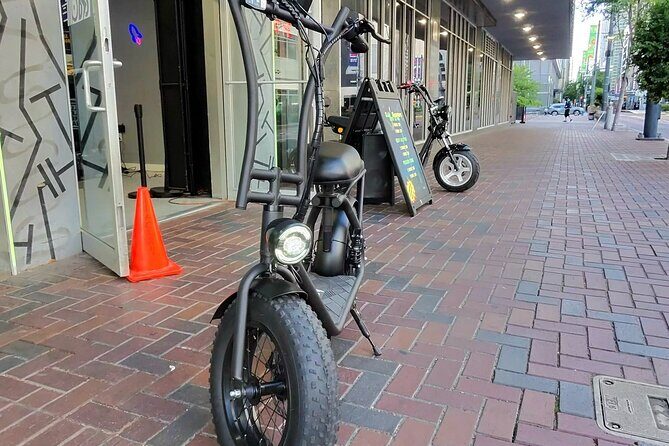 Galveston U2 Pro Self Guided Tour - What the Experience Offers