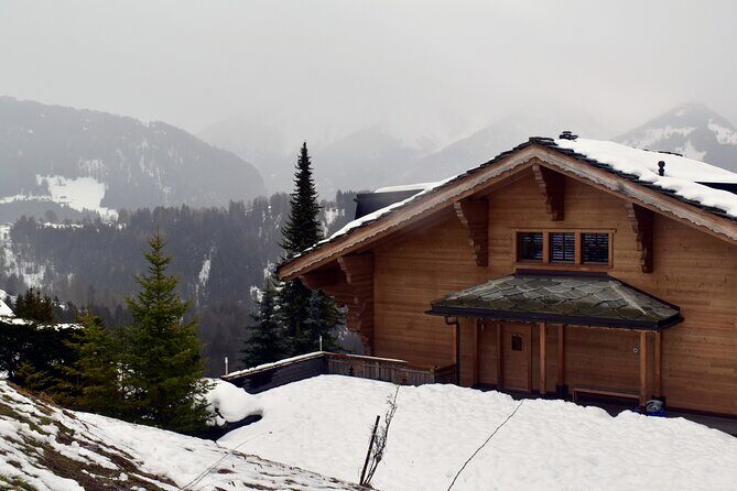 Galway Historic city Tour - 2.5hr Family & Friends Private groups - What to Expect from the Galway City Tour