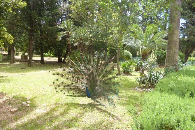 Game of Thrones Kings Landing filming locations with Lokrum Island visit - Who Should Consider This Tour?